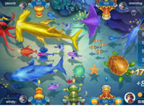 半岛星空足球app下载2024最新版